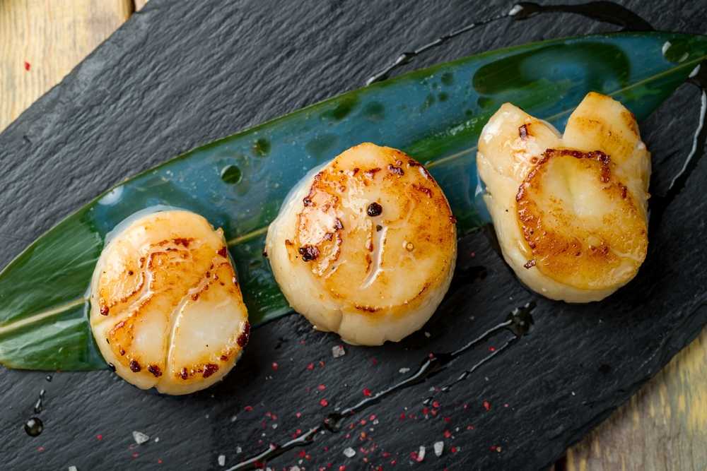 Grilled Scallops