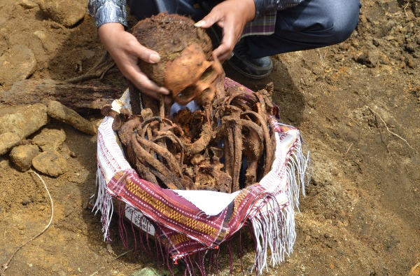 upcara adat Mangokal Holi