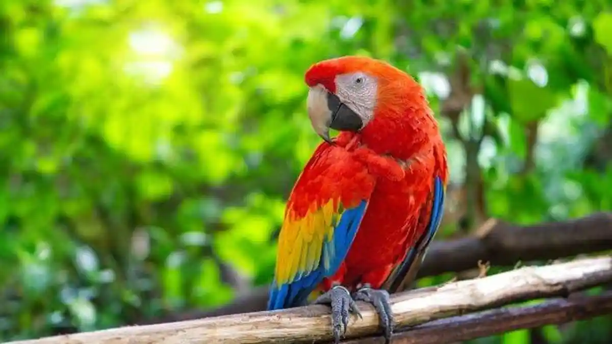 Pentingnya Keseimbangan Ekosistem Padang Rumput