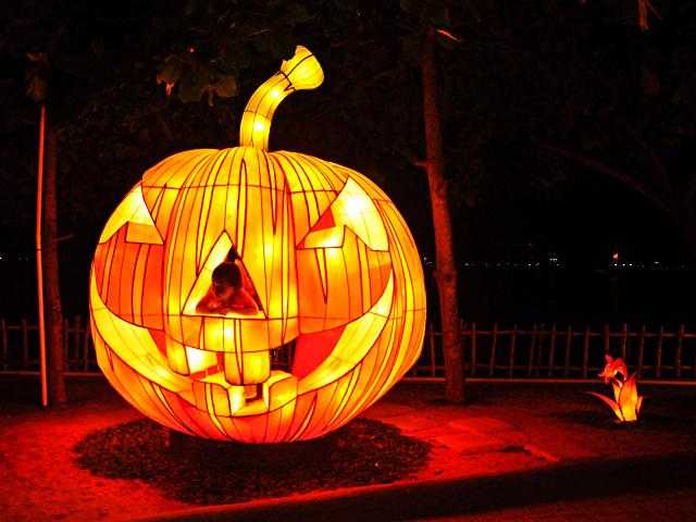 Cahaya Lampion yang Menghidupkan Kota