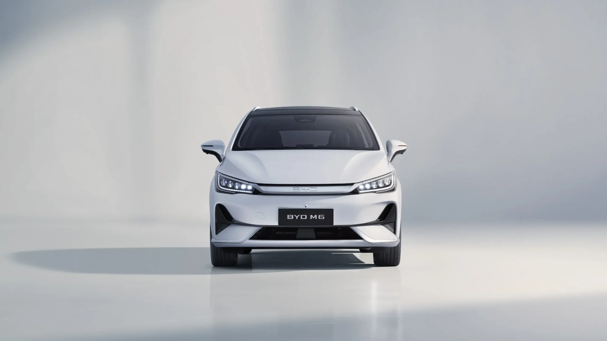 BYD M6 EV