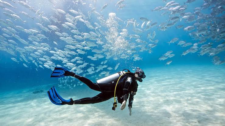 Open Water Diving