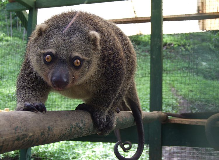 Pola Hidup dan Makanan Favorit